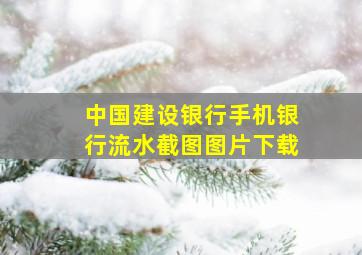 中国建设银行手机银行流水截图图片下载