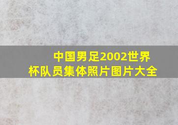 中国男足2002世界杯队员集体照片图片大全