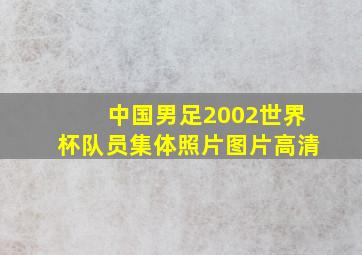 中国男足2002世界杯队员集体照片图片高清