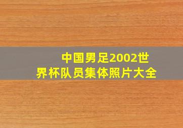 中国男足2002世界杯队员集体照片大全