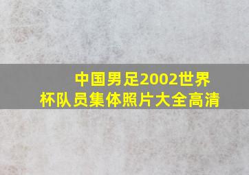 中国男足2002世界杯队员集体照片大全高清