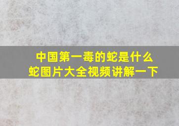 中国第一毒的蛇是什么蛇图片大全视频讲解一下