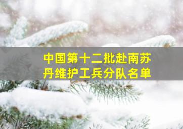 中国第十二批赴南苏丹维护工兵分队名单