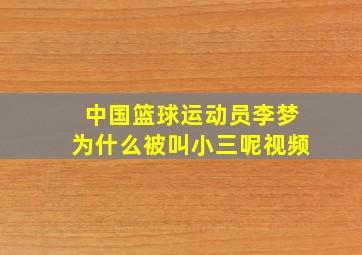 中国篮球运动员李梦为什么被叫小三呢视频