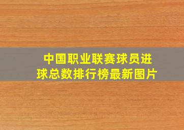 中国职业联赛球员进球总数排行榜最新图片