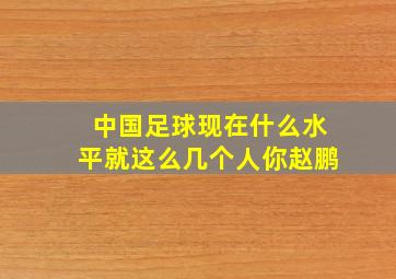 中国足球现在什么水平就这么几个人你赵鹏