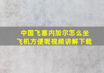 中国飞塞内加尔怎么坐飞机方便呢视频讲解下载