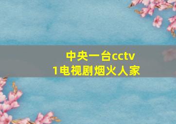 中央一台cctv1电视剧烟火人家