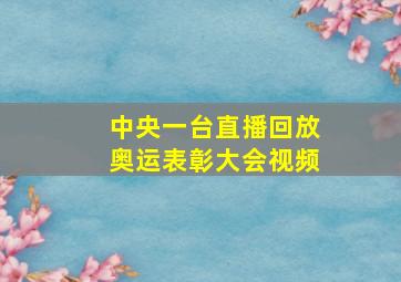 中央一台直播回放奥运表彰大会视频