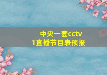 中央一套cctv1直播节目表预报