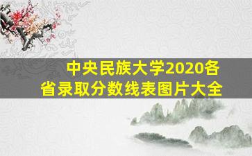 中央民族大学2020各省录取分数线表图片大全