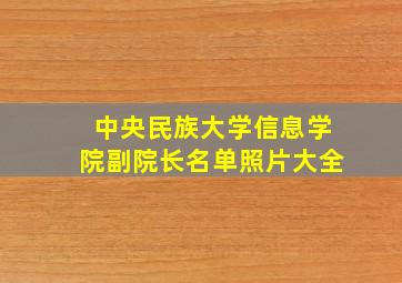 中央民族大学信息学院副院长名单照片大全