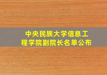 中央民族大学信息工程学院副院长名单公布