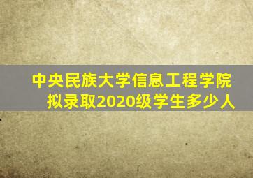 中央民族大学信息工程学院拟录取2020级学生多少人