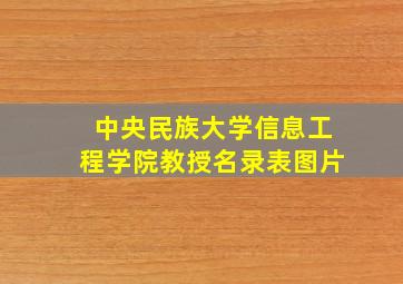 中央民族大学信息工程学院教授名录表图片