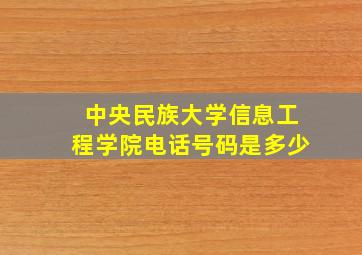 中央民族大学信息工程学院电话号码是多少