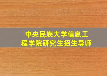 中央民族大学信息工程学院研究生招生导师