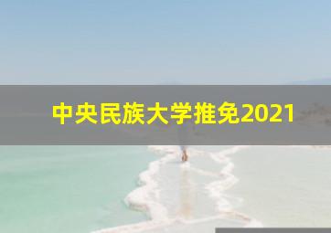 中央民族大学推免2021