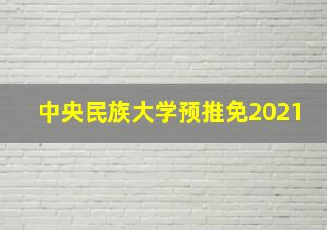 中央民族大学预推免2021