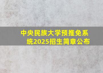 中央民族大学预推免系统2025招生简章公布