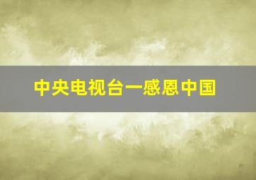 中央电视台一感恩中国