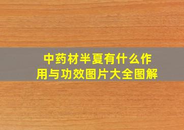 中药材半夏有什么作用与功效图片大全图解