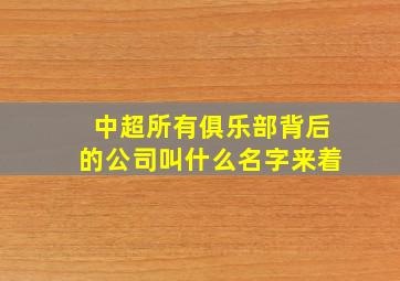 中超所有俱乐部背后的公司叫什么名字来着