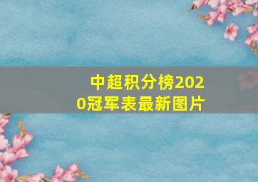 中超积分榜2020冠军表最新图片