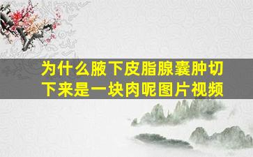 为什么腋下皮脂腺囊肿切下来是一块肉呢图片视频