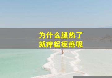 为什么腿热了就痒起疙瘩呢