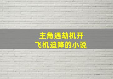 主角遇劫机开飞机迫降的小说