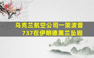 乌克兰航空公司一架波音737在伊朗德黑兰坠毁