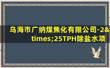 乌海市广纳煤焦化有限公司-2×25TPH除盐水项目