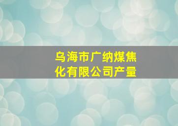 乌海市广纳煤焦化有限公司产量