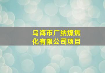 乌海市广纳煤焦化有限公司项目