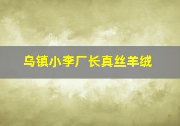 乌镇小李厂长真丝羊绒