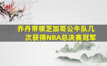 乔丹带领芝加哥公牛队几次获得NBA总决赛冠军