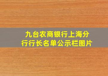 九台农商银行上海分行行长名单公示栏图片