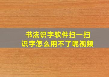 书法识字软件扫一扫识字怎么用不了呢视频