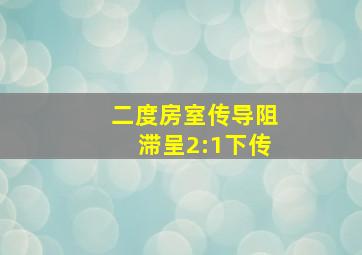 二度房室传导阻滞呈2:1下传