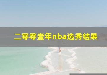 二零零壹年nba选秀结果