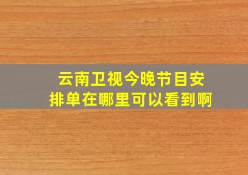 云南卫视今晚节目安排单在哪里可以看到啊