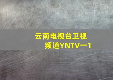 云南电视台卫视频道YNTV一1