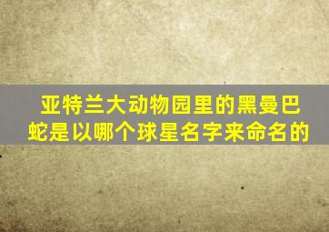 亚特兰大动物园里的黑曼巴蛇是以哪个球星名字来命名的