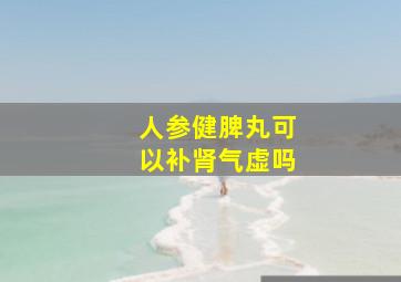 人参健脾丸可以补肾气虚吗