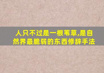 人只不过是一根苇草,是自然界最脆弱的东西修辞手法