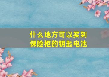 什么地方可以买到保险柜的钥匙电池