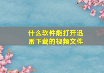 什么软件能打开迅雷下载的视频文件