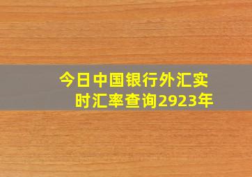 今日中国银行外汇实时汇率查询2923年