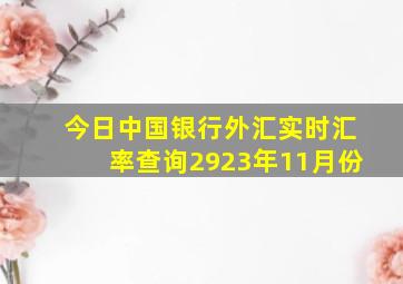 今日中国银行外汇实时汇率查询2923年11月份